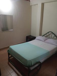 阿西斯港Hostal SAN JOSE PLAZA - TAYRONA 1的一间卧室配有一张带绿色床垫的床