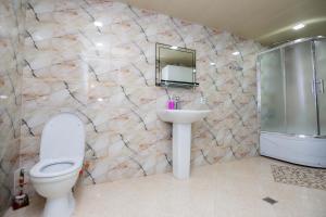 第比利斯Apartamenti Gomi 17的浴室配有卫生间、盥洗盆和淋浴。