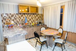 第比利斯Apartamenti Gomi 17的厨房配有桌椅和柜台。