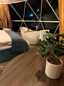 BălanGreen Garden Glamping Retezat的一间带浴缸的卧室和一张植物桌子