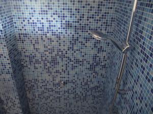 Las Hortichuelas BajasLa Casa Del Volcán De Cabo De Gata的浴室设有蓝色瓷砖墙和淋浴。