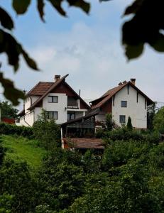 布拉索夫斯特杰李斯旅馆的坐落在绿色山丘顶部的房子