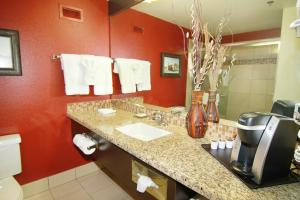 帕伦普帕朗金砖酒店暨赌场的一间带水槽和红色墙壁的浴室