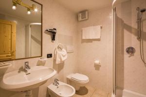 塔弗伊Stelvio Residence的一间带水槽、卫生间和淋浴的浴室