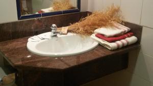 埃尔韦鲁埃科拉德埃萨阿罗雅蜜恩拖斯酒店的浴室水槽和台面上的毛巾