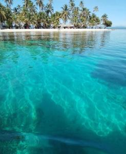 Arritupo Número DosBonitas Islas de San Blas的海中的一个棕榈树环绕的岛屿