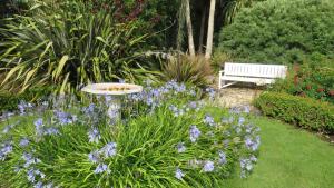 基督城哈伍德梅普尔斯住宿加早餐酒店的种有紫色花卉和白色长凳的花园