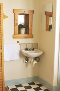 肯图巴Katoomba Mountain Lodge的一间带水槽和镜子的浴室