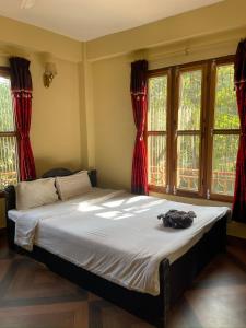 索拉哈Tara guesthouse - Sauraha,Chitwan的一间卧室配有一张带红色窗帘的大床