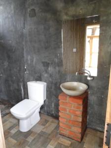 锡吉里亚锡吉里亚天堂湖山林小屋的一间带卫生间和水槽的浴室