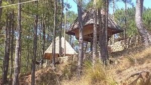 萨加达萨加达民俗村山林小屋的相册照片