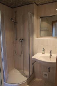 Gotthun格鲁纳鲍姆穆利兹乡村酒店的带淋浴和盥洗盆的浴室