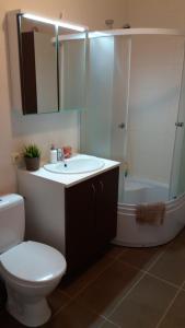 维尔纽斯中心公寓 - 维吉奥公寓的浴室配有卫生间、盥洗盆和淋浴。
