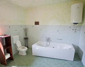 Holiday Home Stancija Becic的一间浴室