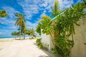 马富施Faza View Inn, Maafushi的棕榈树海滩上的一座建筑