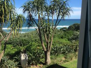 德班Misty Blue Bed and Breakfast的享有棕榈树和大海的景色