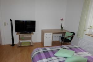 开姆尼茨Im Kuckucksnest的一间卧室配有一张床、一台电视和一把椅子