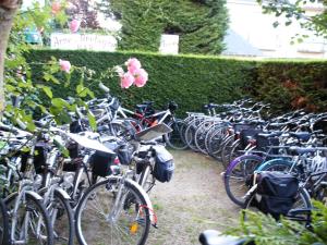 布鲁瓦Hotel Anne De Bretagne BLOIS的停在树 ⁇ 旁边的一捆自行车