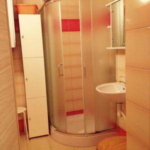 斯克拉斯卡波伦巴Apartament Szklarka6的带淋浴和盥洗盆的浴室
