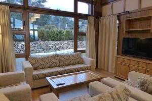 班斯科Pirin Nest Villa的带沙发和平面电视的客厅