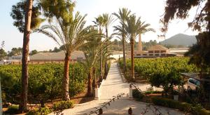 奥利瓦埃尔赛奇尔农家酒店的一条种满棕榈树的路边小径和一座建筑