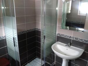 扎布利亚克乌索维克公寓的一间带水槽和玻璃淋浴的浴室
