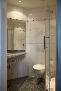 什未林施罗斯酒店的一间带卫生间和镜子的浴室