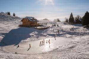 戈雷尼斯卡地区采尔克列Apartments Krvavec的一群人在小屋附近雪中玩耍