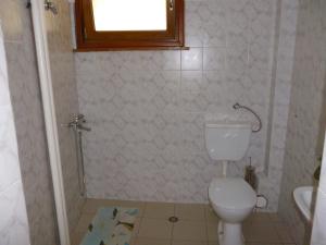 大特尔诺沃康福酒店的一间带卫生间和淋浴及窗户的浴室