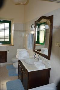 焦约萨马雷阿Giocasa的一间带水槽、镜子和卫生间的浴室