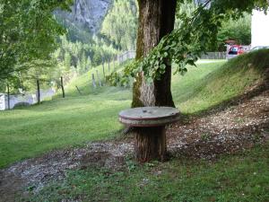 特伦塔波德利普度假屋的树上有一长凳