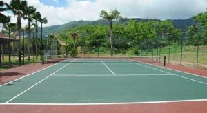 伊甸岛Eden Island Maison 78 (Private Pool)的一座棕榈树环绕的网球场