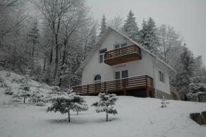 苏恰维塔Șoaptele pădurii & Căsuța din pădure的一座被雪覆盖的房屋,有树木