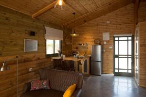 Kidmat Tsvi阿萨夫精品酒厂及木屋的带沙发的客厅和小屋内的厨房