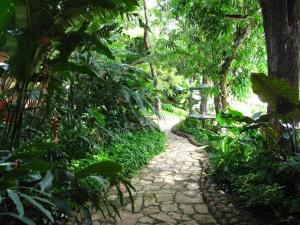 SuchitotoLos Almendros de San Lorenzo的穿过种有树木和植物的花园的路径