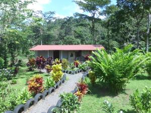 比加瓜Nacientes Lodge的一座花园,后面是一座小建筑