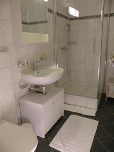 纳沙泰尔Guest house - Maison d'hôtes "Relais des Saars"的一间带水槽、淋浴和卫生间的浴室