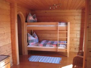 普法尔韦尔芬Ferienhaus Höllwart的小木屋配有两张双层床。