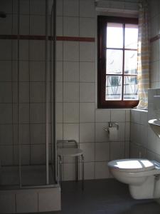 德累斯顿德累斯顿皮耶申膳食公寓酒店的带淋浴、卫生间和盥洗盆的浴室
