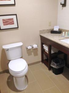 布拉特尔伯勒Comfort Inn & Suites Brattleboro I-91的浴室配有白色卫生间和盥洗盆。