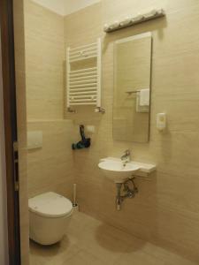 巴克乌安纳利亚出租旅馆的一间带卫生间、水槽和镜子的浴室