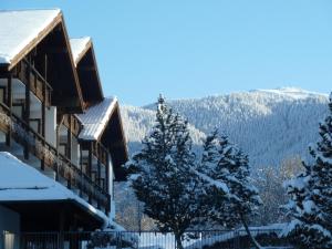 巴特科尔格鲁布施灵格斯霍夫酒店的享有拥有雪覆盖树木和山脉的度假胜地的景色
