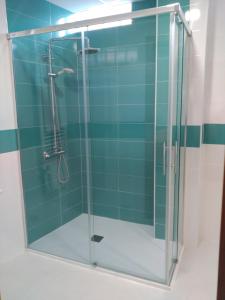 阿维拉多纳胡安娜旅舍的浴室里设有玻璃门淋浴