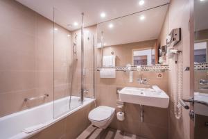 因特拉肯因特拉肯酒店的浴室配有卫生间、盥洗盆和浴缸。