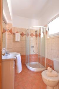 盖奥斯Blue Horizon的带淋浴、卫生间和盥洗盆的浴室