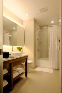 查尔斯顿凯悦嘉轩酒店 - 历史区的一间浴室