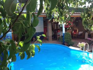 阿尔森Apartment Lazoroski Arcen的一座绿树成荫的庭院中的蓝色游泳池