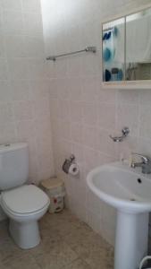 拉纳卡派丽德公寓的一间带卫生间和水槽的浴室
