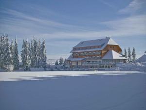 塞埃巴克蒙梅尔湖山区酒店的一座大建筑,在雪中,有树木和田野