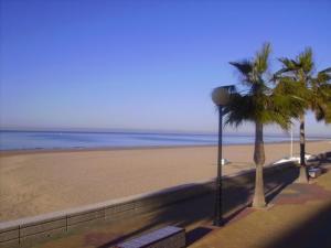 罗塔Macavi的享有棕榈树海滩和大海的景色